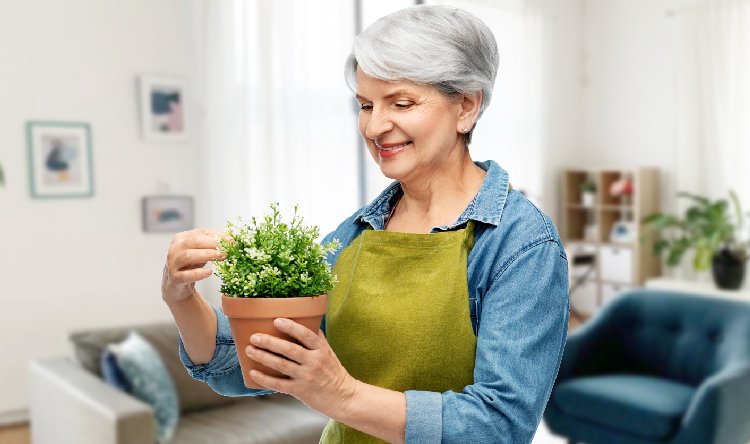 Garden therapy fresh conversation starters for senior citizen meetup groups