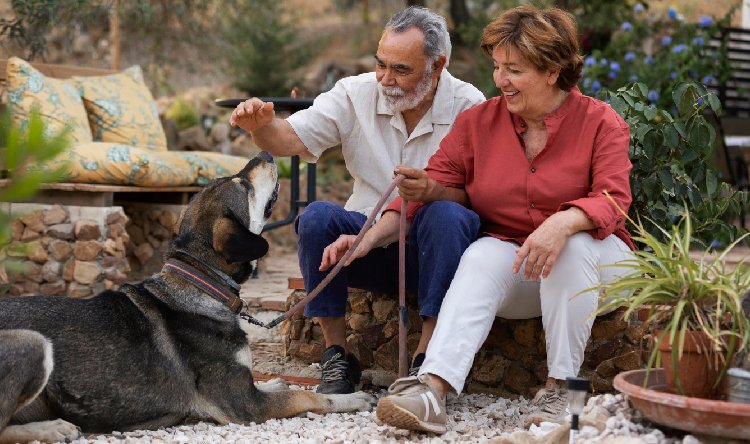 The power couple ritual why an elderly couple living by themselves needs a tribe